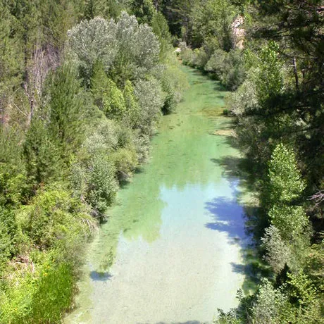 Parque natural del Alto Tajo en Peñalén (Guadalajara)